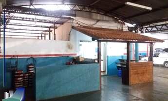 Imagem 2: Galpões para empresa em Ribeirão Preto