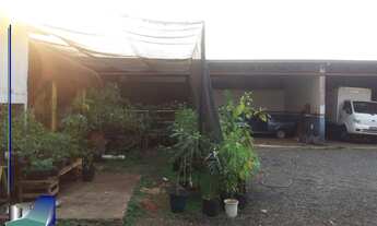 Imagem 4: Galpões para empresa em Ribeirão Preto