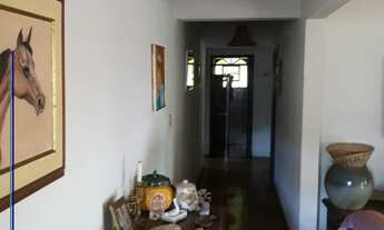 Imagem 7: Sitio à venda em Santo Antonio da Alegria 10 alqueires