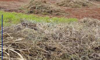 Imagem 5: Terreno para alugar em Ribeirão Preto