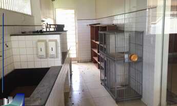 Imagem 6: Casa comercial à venda Costábile Romano Ribeirão Preto