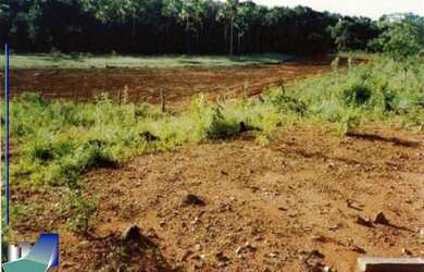 Imagem 2: Fazenda dupla aptidão à venda no Tocantins / Luiz Eduardo Magalhães-BA