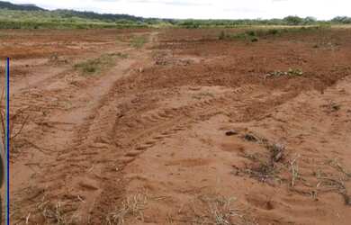 Imagem 6: Fazenda dupla aptidão à venda no Tocantins / Luiz Eduardo Magalhães-BA