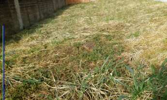 Imagem 2: Terreno locação em Ribeirão Preto