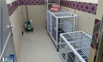 Imagem 5: Sala Comercial em Ribeirão Preto