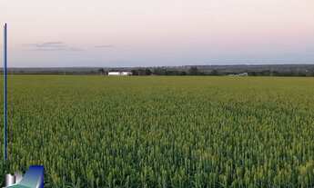 Imagem: FAZENDA À VENDA EM SÃO ROMÃO/MG 1.600