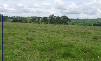 Imagem 7: Fazenda à venda região de Votuporanga/SP - Cardoso/SP
