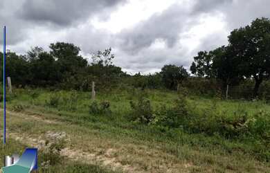 Imagem 3: Fazenda à venda em Arinos-MG e Chapada Gaúcha-MG