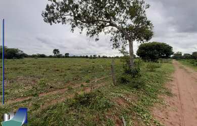 Imagem 4: Fazenda à venda em Arinos-MG e Chapada Gaúcha-MG