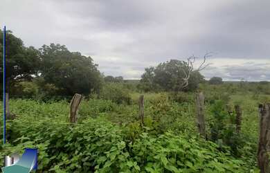 Imagem 6: Fazenda à venda em Arinos-MG e Chapada Gaúcha-MG