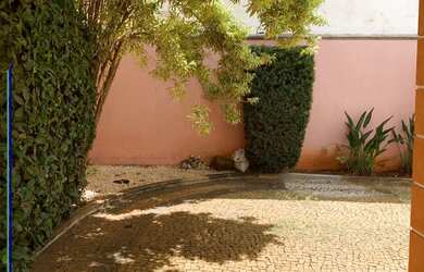 Imagem 5: Casa Comercial para locação, Jardim Sumaré - Ribeirão Preto