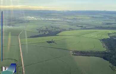 Imagem 5: Fazenda à venda Triângulo Mineiro 1.100 Hectares Campo Florido MG - Prata MG
