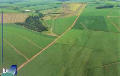 Imagem 6: Fazenda à venda Triângulo Mineiro 1.100 Hectares Campo Florido MG - Prata MG