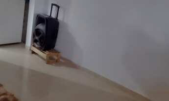 Imagem 3: 2 dormitórios na Rua Augusto Grella