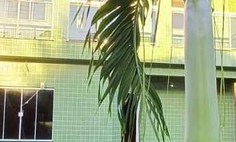 Imagem: CASA COM 4 QUARTOS EM FINO ACABAMENTO