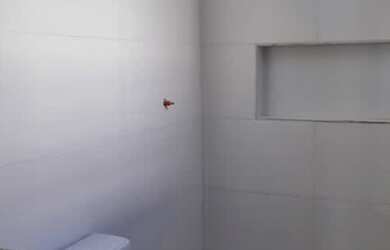 Imagem 4: FINANCIE ESTA CASA DE PRIMEIRA LOCAÇÃO!