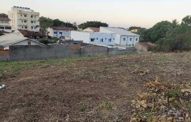 Imagem 6: Na Rua Costa E Silva