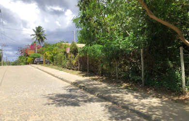 Imagem 3: Vendo Terreno Plano com 1000m² em Imbassay, Área Pavimentada na Alameda das Amendoeiras. V