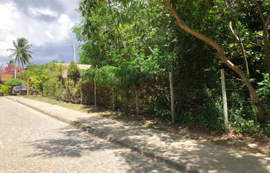 Imagem 4: Vendo Terreno Plano com 1000m² em Imbassay, Área Pavimentada na Alameda das Amendoeiras. V