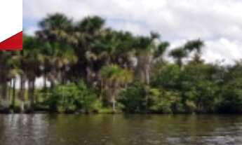 Imagem: TERRENO COMERCIAL em Barreirinhas - MA
