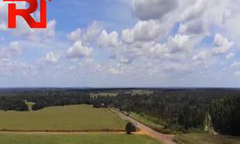 Imagem 4: FAZENDA RURAL em Balsas - MA, Centro