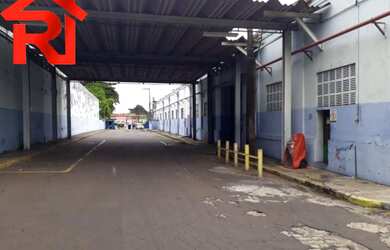 Imagem 5: GALPAO COMERCIAL em SÃO LUÍS - MA, CENTRO