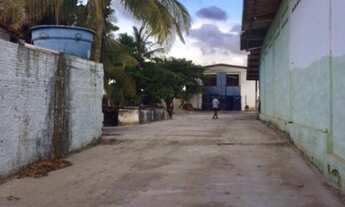 Imagem 3: GALPAO COMERCIAL em SÃO LUÍS - MA, PARQUE TIMBIRAS