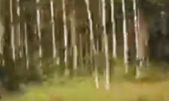 Imagem 6: FAZENDA RURAL em Cantanhede - MA, Centro