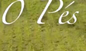 Imagem 5: FAZENDA RURAL em Cantanhede - MA, Centro