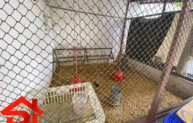 Imagem 6: CASA RESIDENCIAL em SÃO LUÍS - MA, JARDIM ELDORADO