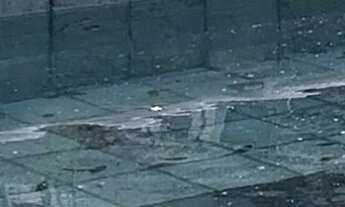 Imagem 3: PARC DAS PALMEIRAS DESLUMBRANTE CASA TRIPLEX 2 TERRENOS MOBILIADA 4 SUÍTES 430 M2 CONSTRUÍ