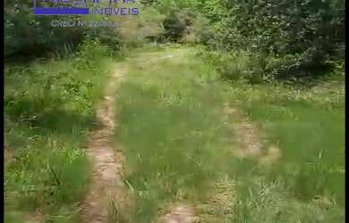 Imagem 3: Ótima área para pecuária, agricultura, açude, app, criação de animais em geral