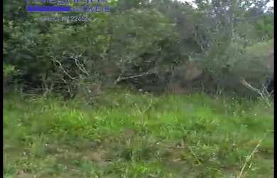 Imagem 4: Ótima área para pecuária, agricultura, açude, app, criação de animais em geral