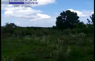 Imagem 6: Ótima área para pecuária, agricultura, açude, app, criação de animais em geral