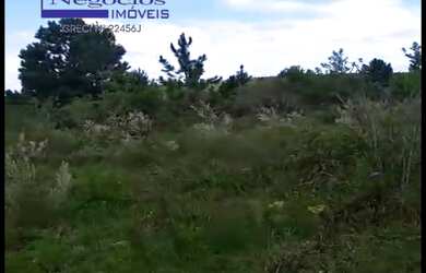 Imagem 7: Ótima área para pecuária, agricultura, açude, app, criação de animais em geral