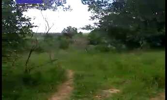 Imagem 5: Ótima área para pecuária, agricultura, açude, app, criação de animais em geral