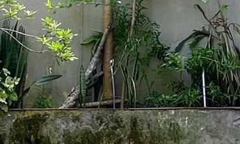 Imagem 2: Excelente oportunidade: Casa à venda em Porto Alegre-RS, Vila Nova, com 3 quartos, 1 suíte