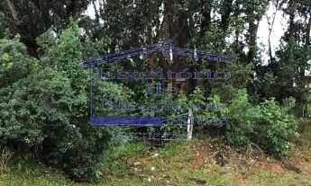 Imagem 3: Terreno à venda em Porto Alegre-RS, localizado no bairro Lomba do Pinheiro com ótima infra