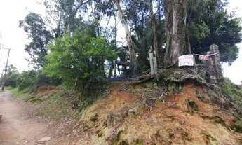 Imagem 6: Terreno à venda em Porto Alegre-RS, localizado no bairro Lomba do Pinheiro com ótima infra