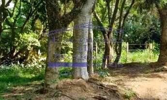 Imagem 5: Terreno à venda em Porto Alegre-RS, Belém Novo - 165,82 m² de área. Aproveite essa oportun