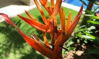 Imagem 7: Casa em condomínio - 268 m² - terreno 400 m² - 4 suítes - 4 vagas - R$ 2.500.000 - Praia d