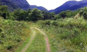 Imagem 6: Terreno - 21.000 m² - com projeto para condomínio - venda por R$ 5.500.000 - praia de Paúb