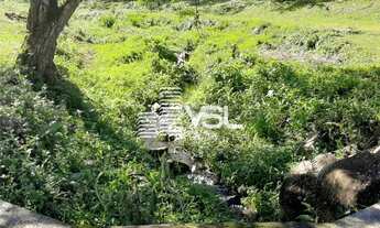 Imagem 6: Terreno para Sítio/chácara com 43 mil metros de área na Colônia Santana - São José