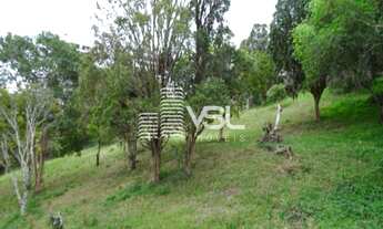 Imagem: Terreno com 6.400 m², zoneamento ARP 2.5