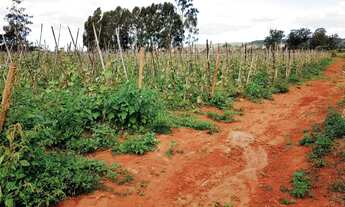 Imagem 7: CHÁCARA NA REGIÃO DE SÃO JOÃO DA SERRA NEGRA-MG - PATROCÍNIO-MG