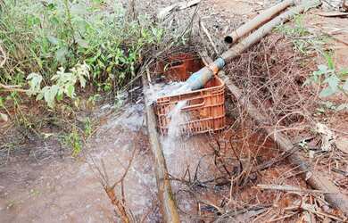 Imagem 4: CHÁCARA NA REGIÃO DE SÃO JOÃO DA SERRA NEGRA-MG - PATROCÍNIO-MG