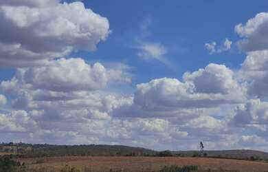 Imagem 6: FAZENDA PARA GADO E PLANTIO ENTRE COROMANDEL E PATROCINIO