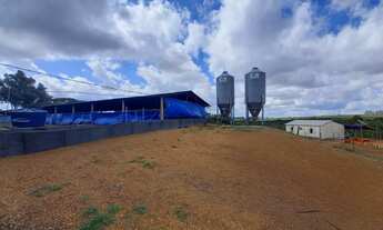 Imagem 5: FAZENDA ALTAMENTE RENTÁVEL ENTRE COROMANDEL E PATROCÍNIO-MG