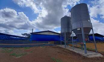 Imagem 6: FAZENDA ALTAMENTE RENTÁVEL ENTRE COROMANDEL E PATROCÍNIO-MG