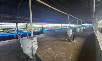 Imagem 3: FAZENDA ALTAMENTE RENTÁVEL ENTRE COROMANDEL E PATROCÍNIO-MG